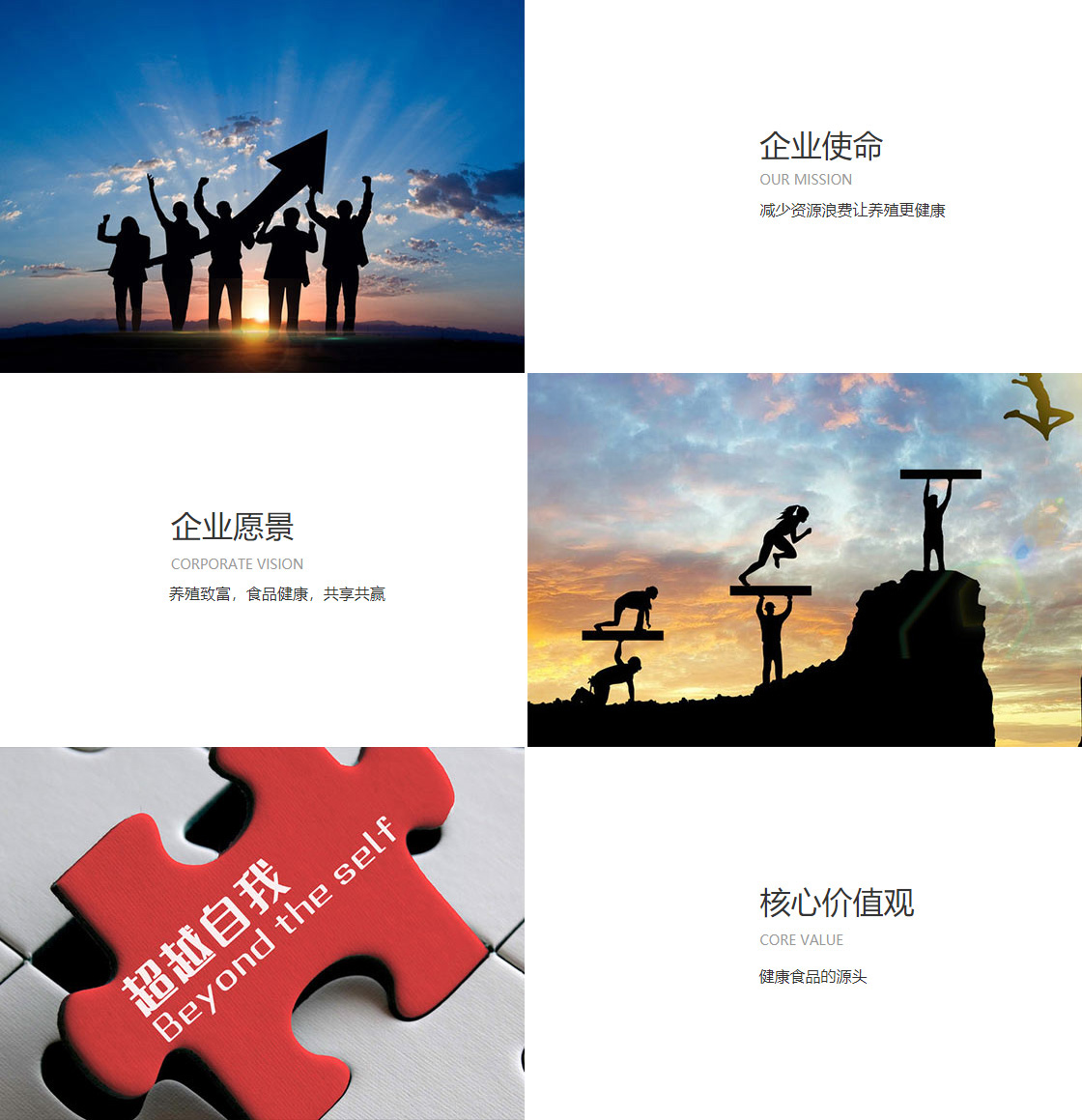 亚星真人百家乐官网(图1)